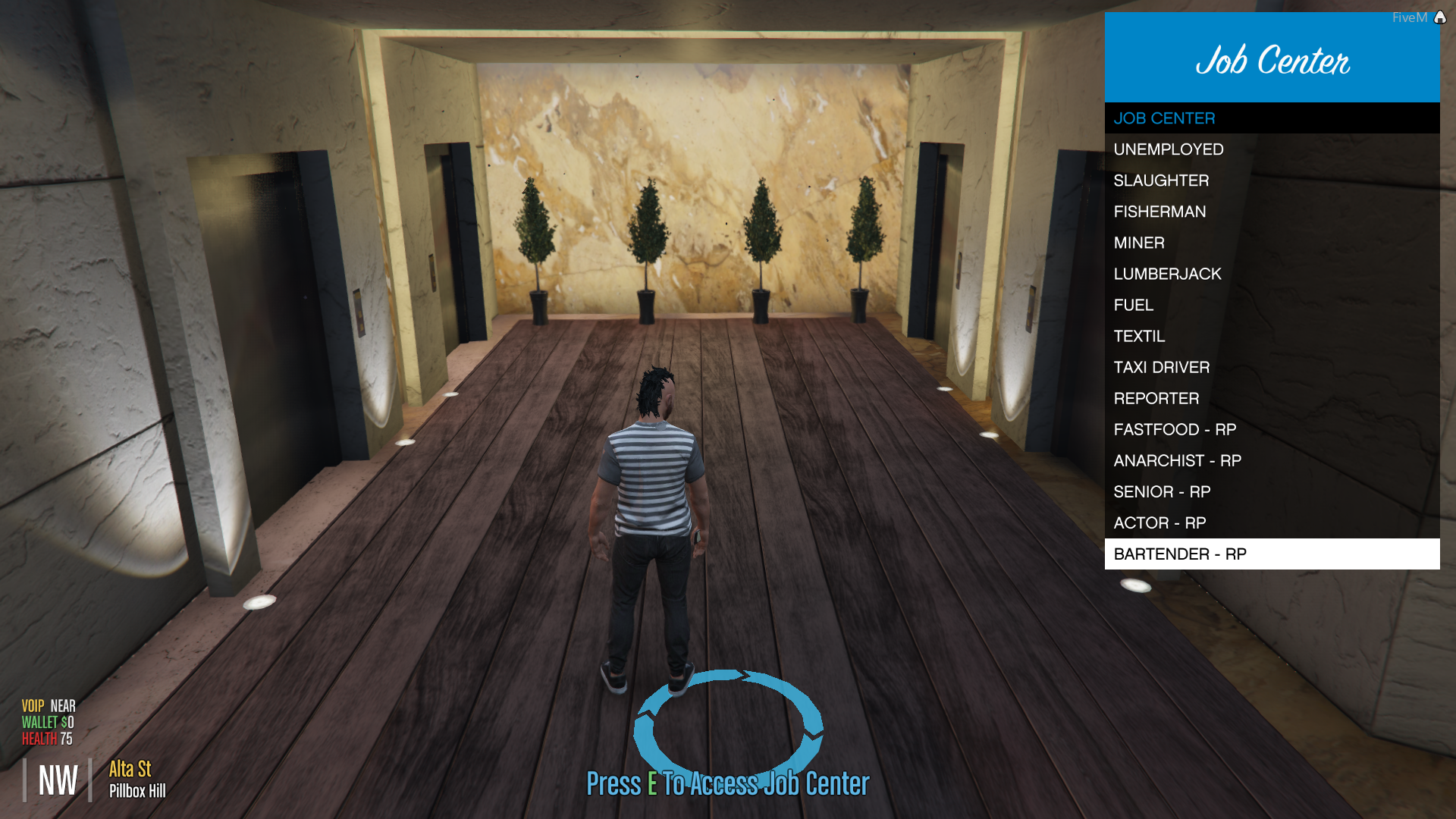 FiveM VDS