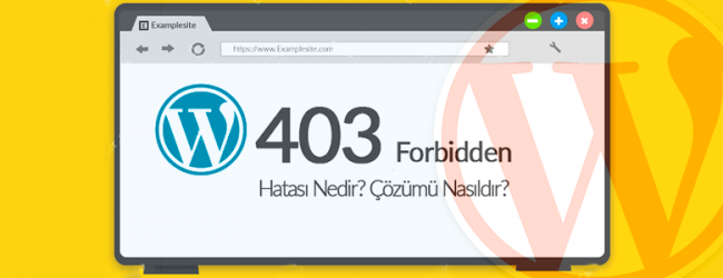 cPanel’de WordPress 403 Hatası Çözümü